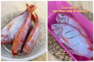 Trik mudah dan aman bersihkan sisik ikan keras tanpa pisau, tidak bikin tangan tergores