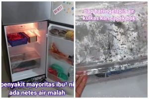 Bunga es freezer mencair kerap menetes dan menggenang di lantai, ternyata ini alasan serta cara mengat
