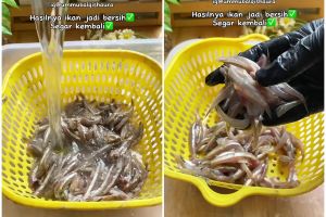 Cuma pakai 1 bahan dapur, ini trik cuci ikan agar lebih kesat dan isi perutnya lebih mudah dibersihkan