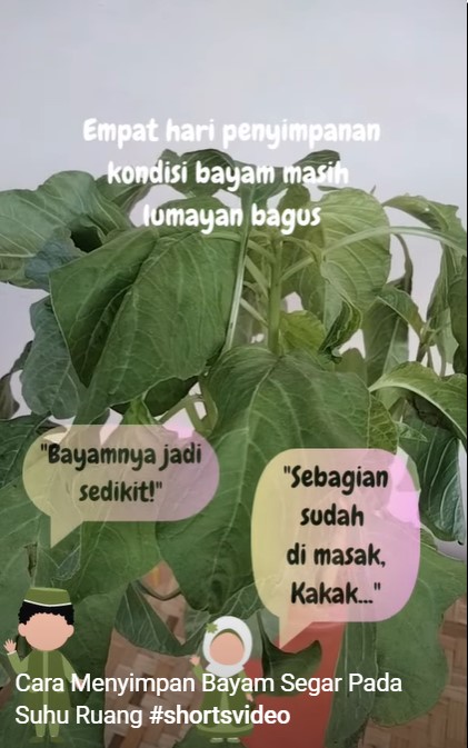 Tak layu dan daunya tetap hijau sampai 4 hari, begini trik mudah simpan bayam meski tanpa kulkas