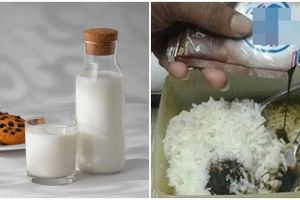 [KUIS] Pilih gambar ini kami rekomen kombinasi nyeleneh susu yang perlu kamu coba sekali seumur hidup