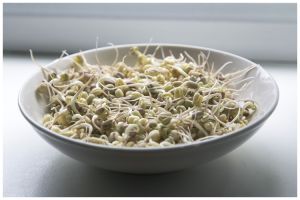 Trik menyimpan tauge supaya tidak cepat menghitam sampai 1 minggu, cuma tambah 1 bahan dapur