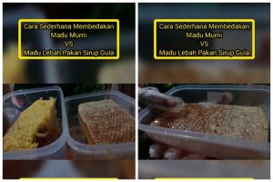 Jangan terkecoh kekentalannya, ini cara bedakan madu sarang asli nektar bunga dan madu sarang sirup