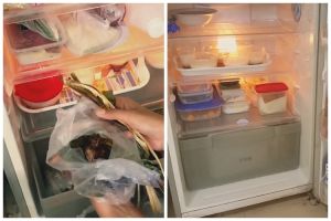 Jangan cuma dilap, trik bersihkan kulkas ini bikin bebas bau dan noda mudah luntur pakai 2 bahan dapur