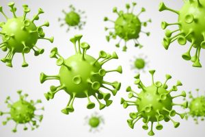 Sebutkan macam bentuk sel bakteri, pahami pengertian dan contohnya