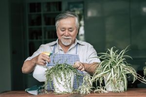 5 Contoh teks anekdot sederhana tentang orang tua, lengkap dengan definisi, fungsi, dan formatnya