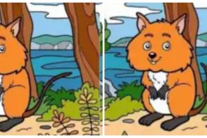 Ilusi hanya orang yang pintar secara alami yang dapat menemukan 6 perbedaan dalam waktu kurang dari 12