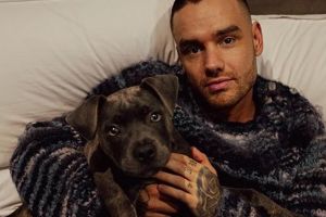 Lirik lagu Strip That Down oleh Liam Payne featuring Quavo