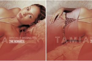 Makna mendalam di balik lagu Officially Missing You oleh Tamia, lengkap dengan lirik dan artinya 