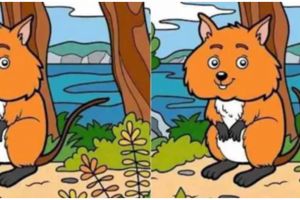 Ilusi optik, kamu cerdas kalau bisa melihat 6 perbedaan gambar ini dalam waktu kurang dari 12 detik