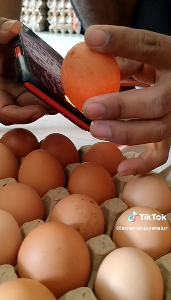 Cara mudah membedakan telur segar dan busuk tanpa perlu direndam air