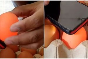 Cara mudah membedakan telur segar dan busuk tanpa perlu direndam air