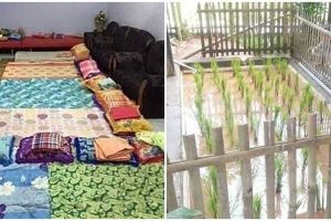 [KUIS] Pilih 1 dari 4 gambar ini, pilihanmu tentukan potret nyeleneh yang bikin geleng kepala