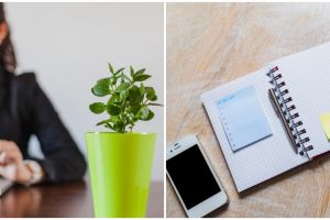 Nggak cuma laptop, ini 7 barang yang selalu ada di meja karyawan produktif