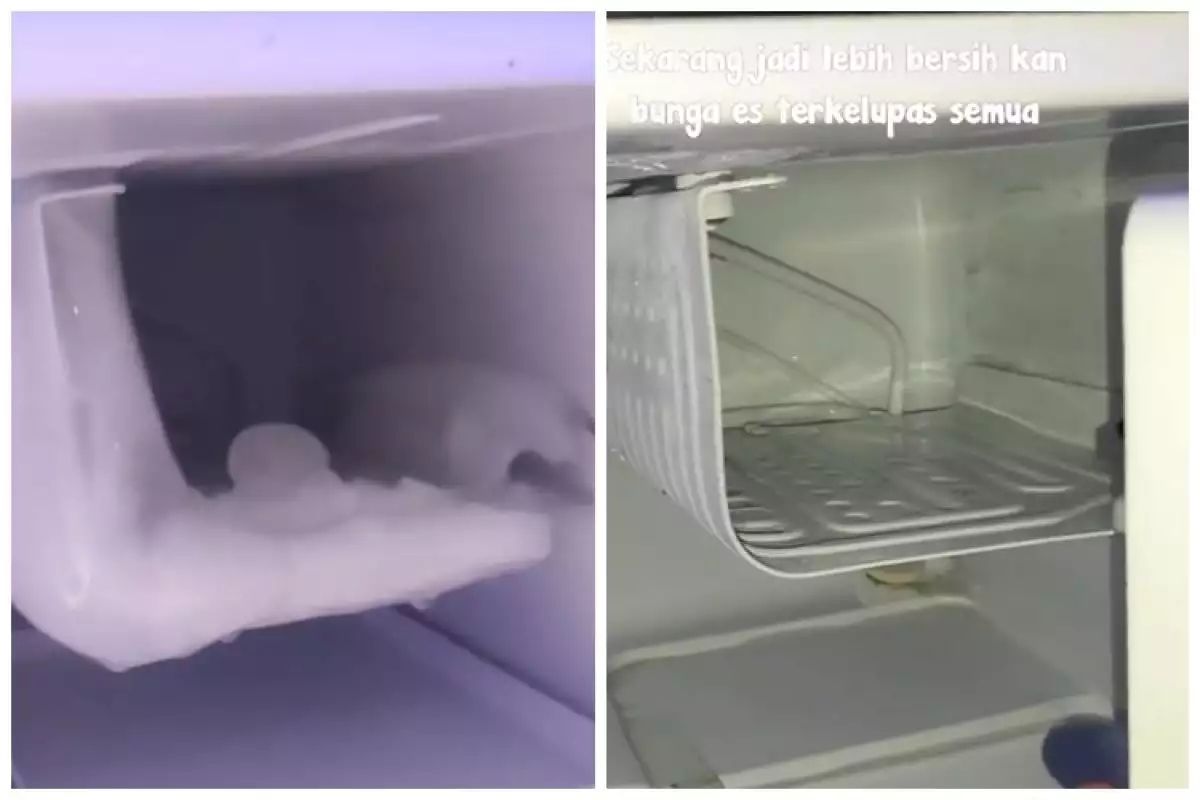 How to quickly melt frost in the refrigerator with one kitchen ingredient