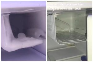 Cara cepat mencairkan bunga es di kulkas dengan satu bahan dapur