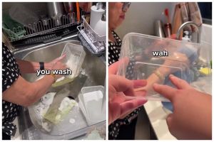 Bukan sabun cuci piring, emak-emak ini pakai 1 bahan makanan ini untuk basmi minyak di wadah plastik