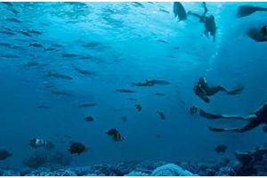 Ilusi optik, jangan ngaku punya mata tajam jika tak bisa menemukan dua wajah tersembunyi dalam 6 detik