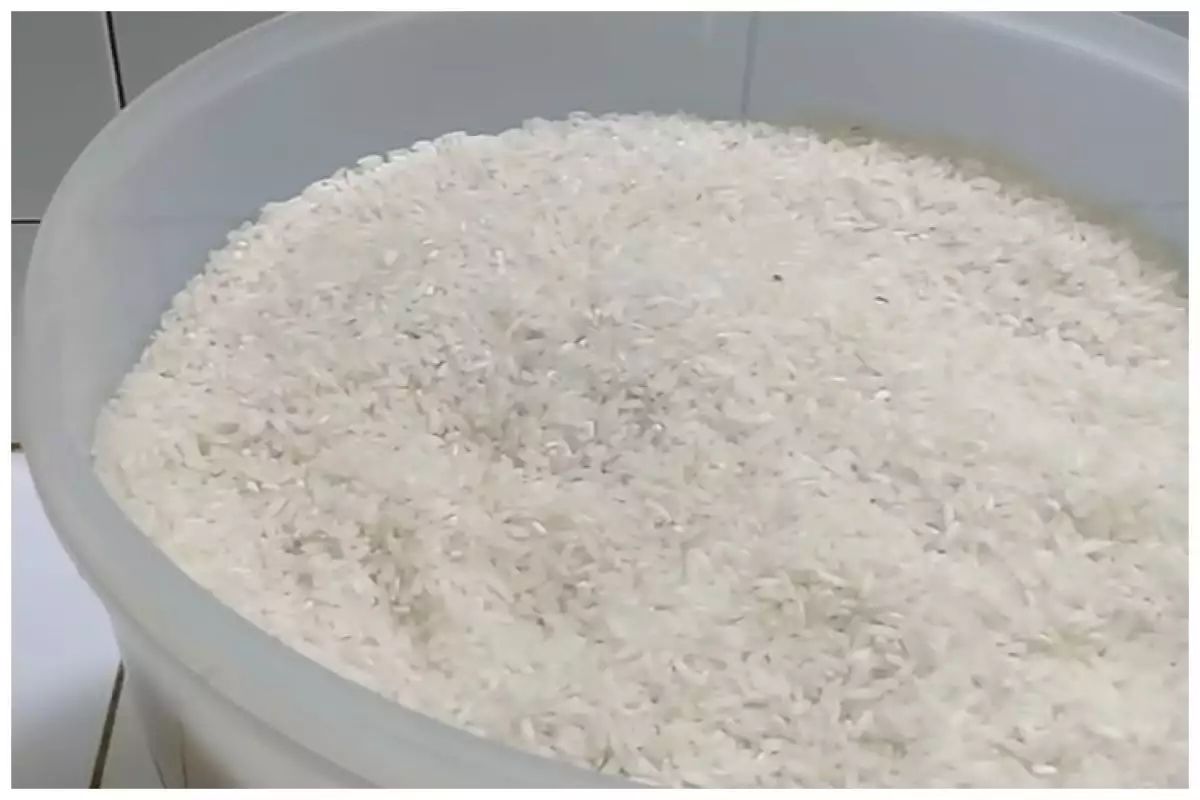 Effective tricks to get rid of rice weevils without bay leaves or limes