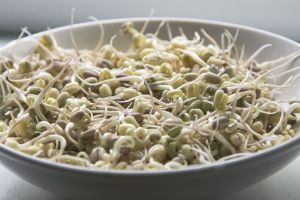 7 Makanan rendah kalori serba tauge, enak dan mengenyangkan