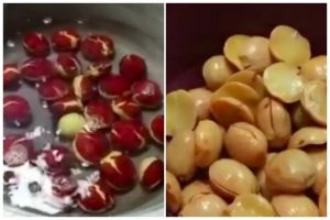 Trik merebus jengkol agar empuk dan bebas bau dengan tambahan 2 bahan dapur