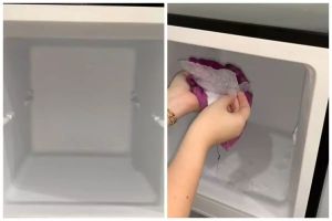 Trik cepat bersihkan bunga es freezer dengan satu bumbu dapur