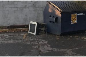 Tes ilusi optik, kamu jago banget kalau bisa menemukan rusa bersembunyi di halaman belakang