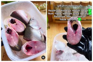 Jangan langsung dibuang, ini trik atasi ikan disimpan di kulkas 2 hari tapi sudah bau tidak sedap