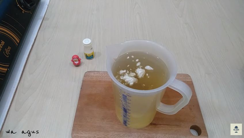 Hanya modal Rp17.000, ini trik memperbanyak susu kental manis jadi 4 kaleng pakai 4 bahan dapur