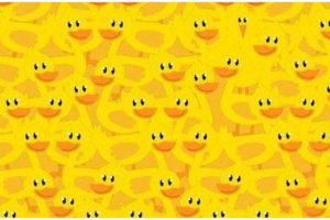 Tes ilusi optik, hanya 1% bermata detektif yang bisa menemukan ayam tersembunyi dalam 5 detik