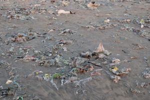 5 Contoh teks laporan hasil observasi tentang limbah, pahami pengertian dan dampaknya