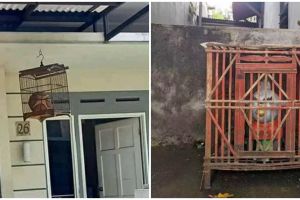 [KUIS] Dari sikap kamu bertemu binatang ini kami bantu tebak hewan peliharaan apa yang cocok untukmu