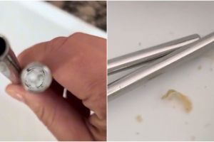 Disikat saja tidak cukup, ini cara ampuh basmi lumut di bagian dalam sedotan stainless