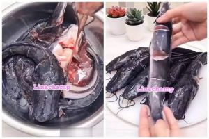 Trik bersihkan lendir ikan lele tanpa kapur sirih atau jeruk nipis, andalkan 1 bahan dapur ini