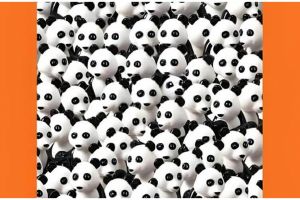 Tes ilusi optik, hanya 1% orang yang bisa menemukan anjing bersembunyi di gambar ini