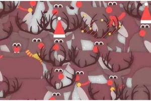 Tes ilusi optik, temukan burung di antara sekelompok rusa dalam 8 detik