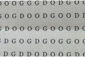 Tes ilusi optik, hanya 1% pemilik pikiran tajam yang dapat menemukan kata DOG dalam 5 detik