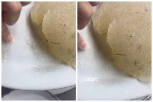 Selain kaya manfaat, terungkap ini alasan mengapa harga sarang burung walet sangat mahal