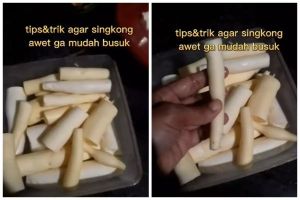 Trik menyimpan singkong kupas agar tetap segar dan tidak hitam sampai 2 minggu tanpa direndam air