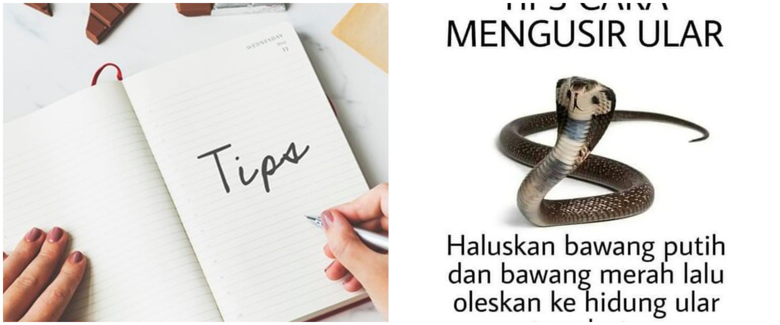 [KUIS] Berdasarkan masalah yang kamu hadapi, temukan tips di luar nalar untuk cerahkan hari-harimu