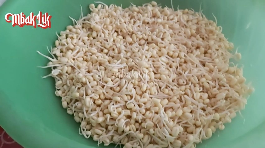Bukan dikupas satu-satu, ini cara pisahkan kulit kacang hijau dari tauge agar lebih hemat air