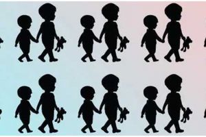 Tes ilusi optik, temukan siluet yang berbeda dalam 5 detik