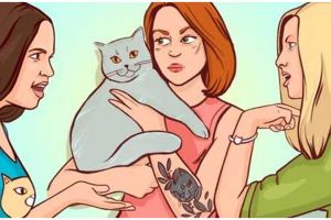 Tes ilusi optik, temukan pemilik asli kucing ini dalam 7 detik