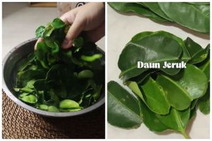 Trik menyimpan daun jeruk agar tetap hijau dan nggak kering hingga 3 bulan ini cuma butuh 1 alat dapur