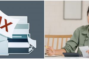 Fix! PPN 12% berlaku 1 Januari 2025, ini penyebab kenaikannya dan sektor yang terdampak