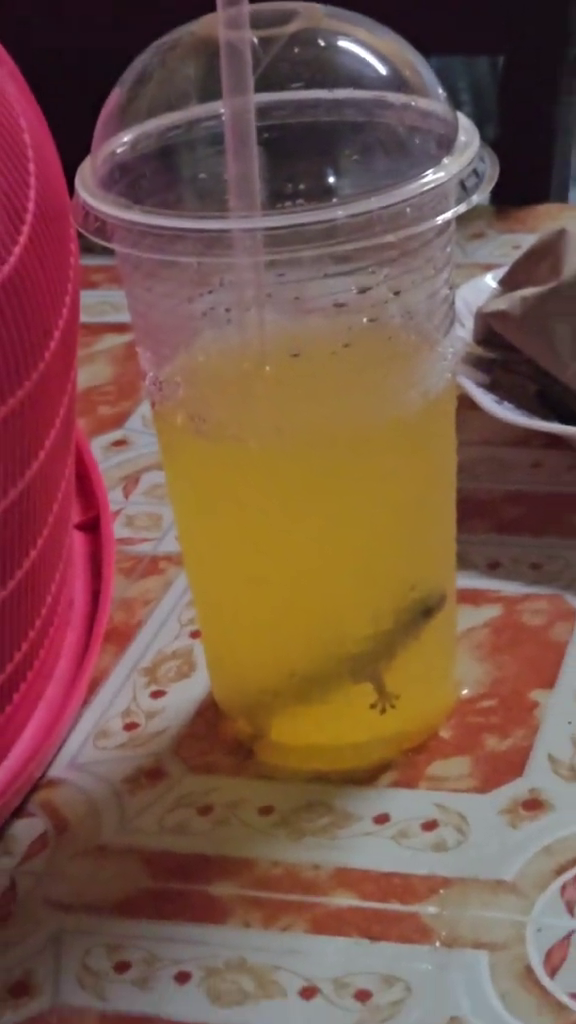 Sudah habis setengah gelas, pria ini temukan benda asing dalam es jeruk pesanannya, auto bikin mual