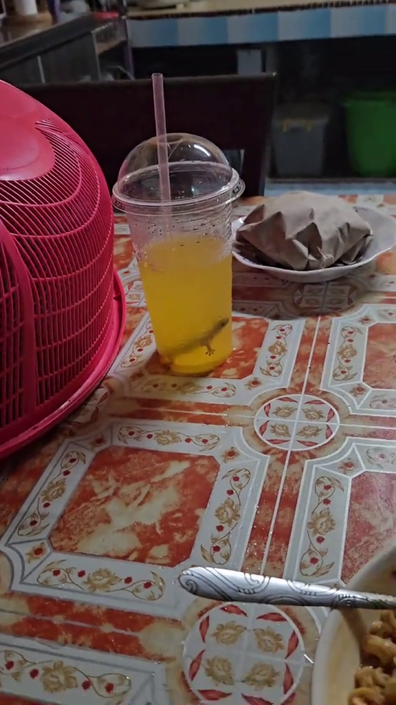 Sudah habis setengah gelas, pria ini temukan benda asing dalam es jeruk pesanannya, auto bikin mual