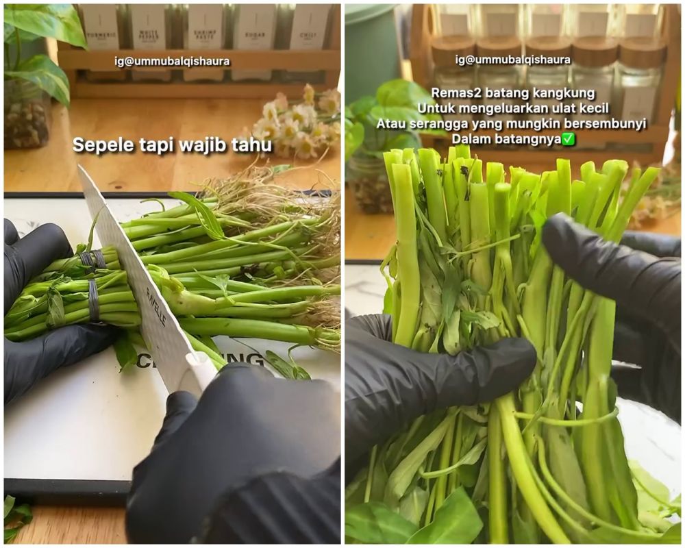 Bukan direndam air garam, ini cara cuci kangkung agar bebas ulat dan kotoran meski tanpa dibelah