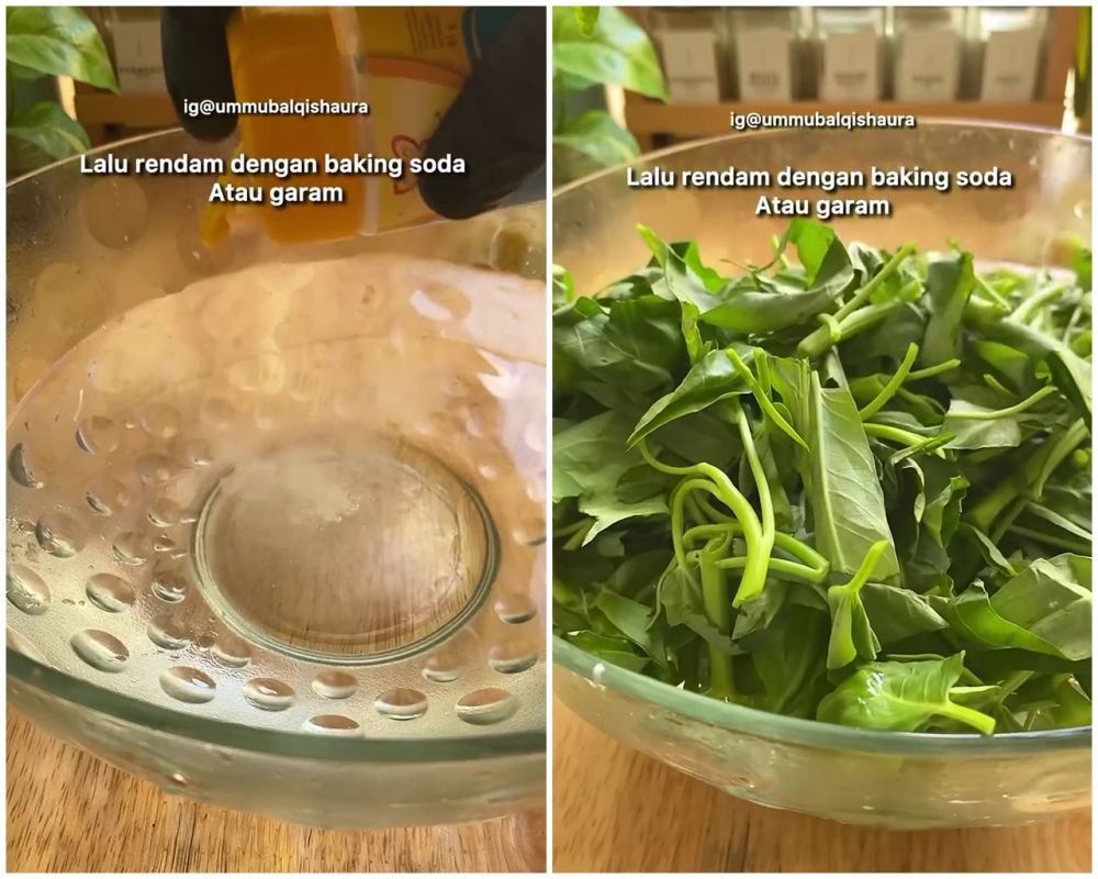 Bukan direndam air garam, ini cara cuci kangkung agar bebas ulat dan kotoran meski tanpa dibelah