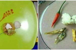 [KUIS] PPN naik 12 persen? Cari tahu makanan nyeleneh ala resto apa yang bisa kamu buat di rumah